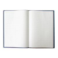 Книга учета 96 л., А4 200*290 мм BRAUBERG, клетка, твердая обложка из картона, бумвинил, блок офсет, 130069