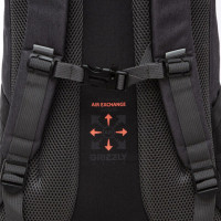 Рюкзак GRIZZLY школьный, анатом. спинка, 2 отделения, д/дев., BLACK/ORANGE, 41х27х17 см, RD-342-1/2 Рюкзак GRIZZLY школьный, анатом. спинка, 2 отделения, д/дев., BLACK/ORANGE, 41х27х17 см, RD-342-1/2