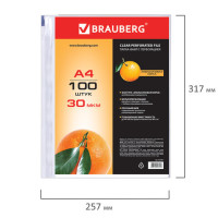 Папки-файлы перфорированные, А4, BRAUBERG, комплект 100 шт., "апельсиновая корка", 30 мкм, 221991 Папки-файлы перфорированные, А4, BRAUBERG, комплект 100 шт., "апельсиновая корка", 30 мкм, 221991