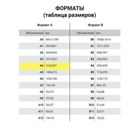 Скоросшиватель пластиковый BRAUBERG, А4, 130/180 мкм, бирюзовый, 228675 Скоросшиватель пластиковый BRAUBERG, А4, 130/180 мкм, бирюзовый, 228675