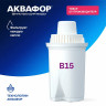 Кувшин-фильтр для очистки воды АКВАФОР "Реал В15", 2,9 л, со сменной кассетой, салатовый, 210156 Кувшин-фильтр для очистки воды АКВАФОР "Реал В15", 2,9 л, со сменной кассетой, салатовый, 210156