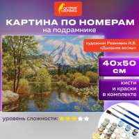 Картина по номерам 40х50 см, ОСТРОВ СОКРОВИЩ "Дыхание весны", на подрамнике, акрил, кисти, 662888 Картина по номерам 40х50 см, ОСТРОВ СОКРОВИЩ "Дыхание весны", на подрамнике, акрил, кисти, 662888