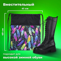 Мешок для обуви BRAUBERG БОЛЬШОЙ, с ручкой, карман на молнии, сетка, 49х41 см, "Feathers", 271057 Мешок для обуви BRAUBERG БОЛЬШОЙ, с ручкой, карман на молнии, сетка, 49х41 см, "Feathers", 271057