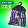 Мешок для обуви BRAUBERG БОЛЬШОЙ, с ручкой, карман на молнии, сетка, 49х41 см, "Feathers", 271057 Мешок для обуви BRAUBERG БОЛЬШОЙ, с ручкой, карман на молнии, сетка, 49х41 см, "Feathers", 271057