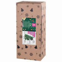 Ель новогодняя искусственная "Velvet Pinewood" 120 см, с инеем и шишками, ПВХ, ЗОЛОТАЯ СКАЗКА, 591702 Ель новогодняя искусственная "Velvet Pinewood" 120 см, с инеем и шишками, ПВХ, ЗОЛОТАЯ СКАЗКА, 591702