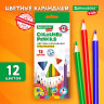 Карандаши цветные BRAUBERG KIDS NEW, 12 цветов, трехгранные, грифель 3 мм, 182001 Карандаши цветные BRAUBERG KIDS NEW, 12 цветов, трехгранные, грифель 3 мм, 182001