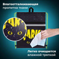 Мешок для обуви BRAUBERG, с петлей, светоотражающая полоса, 2 отделения, 46х36 см, Dark cat, 272394 Мешок для обуви BRAUBERG, с петлей, светоотражающая полоса, 2 отделения, 46х36 см, Dark cat, 272394