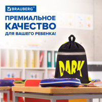 Мешок для обуви BRAUBERG, с петлей, светоотражающая полоса, 2 отделения, 46х36 см, Dark cat, 272394 Мешок для обуви BRAUBERG, с петлей, светоотражающая полоса, 2 отделения, 46х36 см, Dark cat, 272394