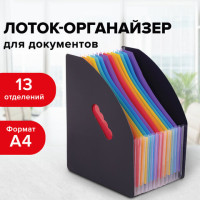 Лоток-органайзер вертикальный для бумаг и документов, 13 отделений, BRAUBERG DOCS, А4 черный, 271153 Лоток-органайзер вертикальный для бумаг и документов, 13 отделений, BRAUBERG DOCS, А4 черный, 271153