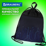Мешок для обуви BRAUBERG БОЛЬШОЙ, с ручкой, карман на молнии, сетка для вентиляции, 49х41 см, "Electro", 271061 Мешок для обуви BRAUBERG БОЛЬШОЙ, с ручкой, карман на молнии, сетка для вентиляции, 49х41 см, "Electro", 271061